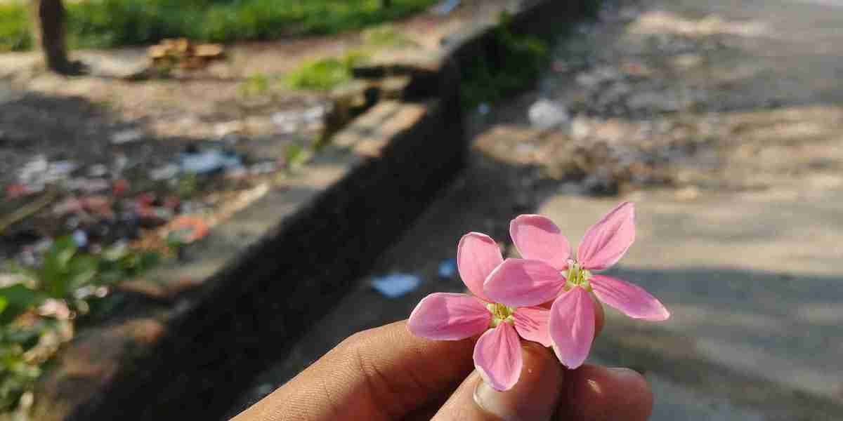 ফুল