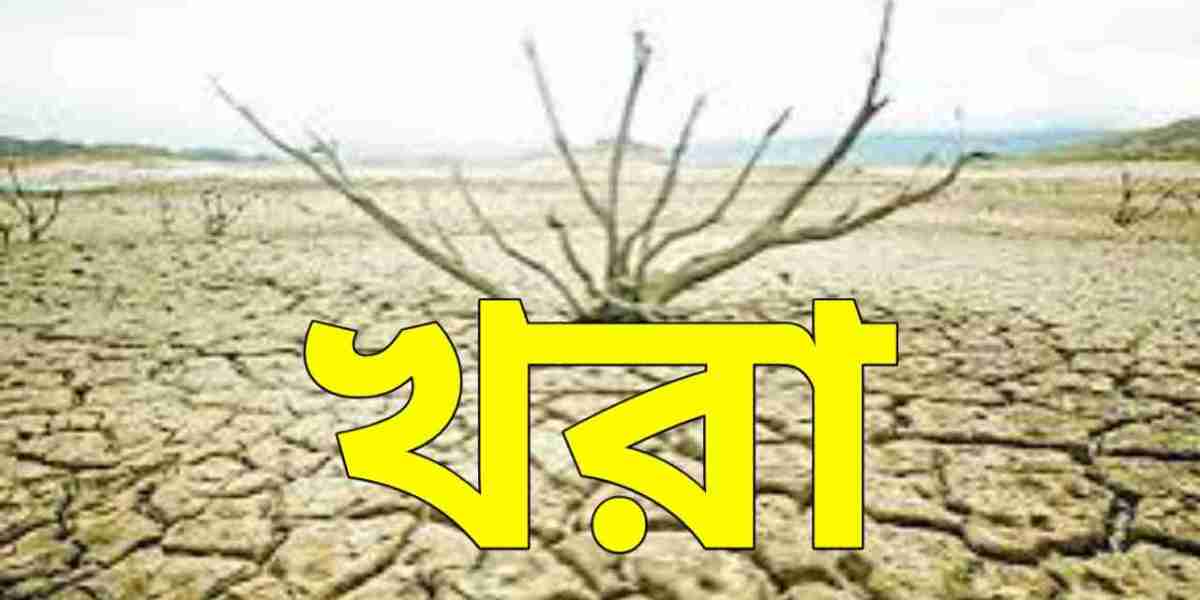 খরা: এক নিরব ধ্বংসযজ্ঞ এবং এর প্রভাব