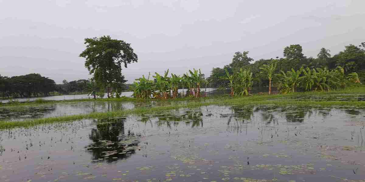 প্রকৃতিময় বাংলাদেশ