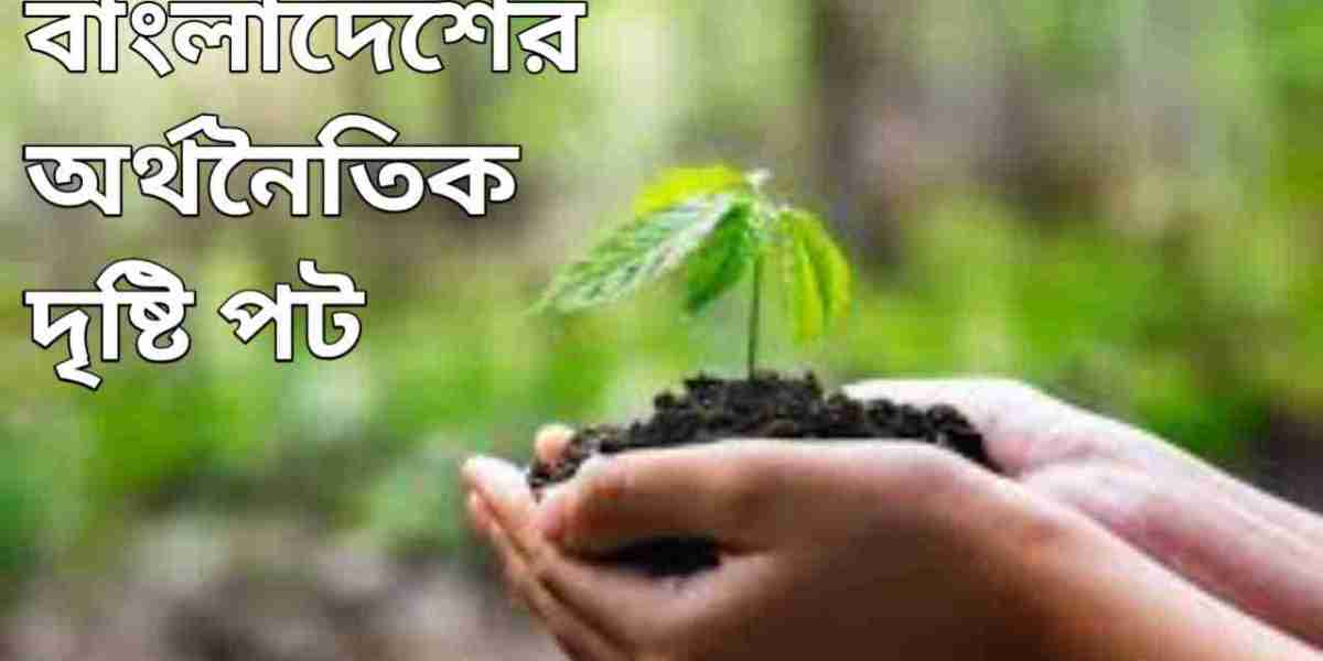 বাংলাদেশের অর্থনৈতিক দৃশ্যপট: বর্তমান চ্যালেঞ্জ ও ভবিষ্যৎ সম্ভাবনা