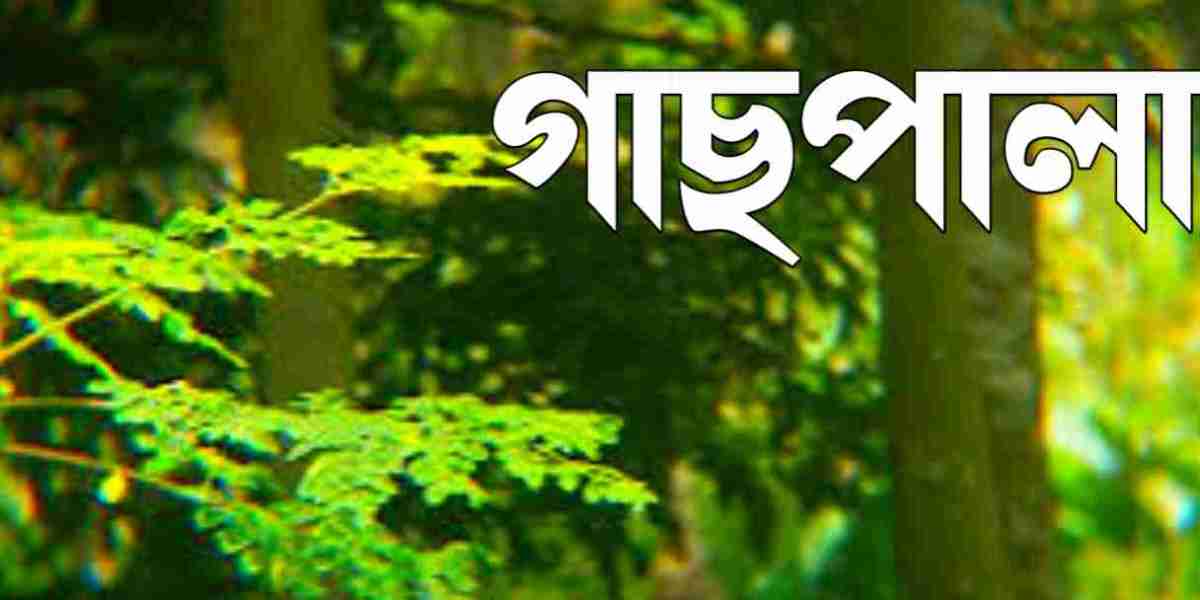 গাছপালা: প্রাকৃতিক সৌন্দর্যের অমূল্য রত্ন