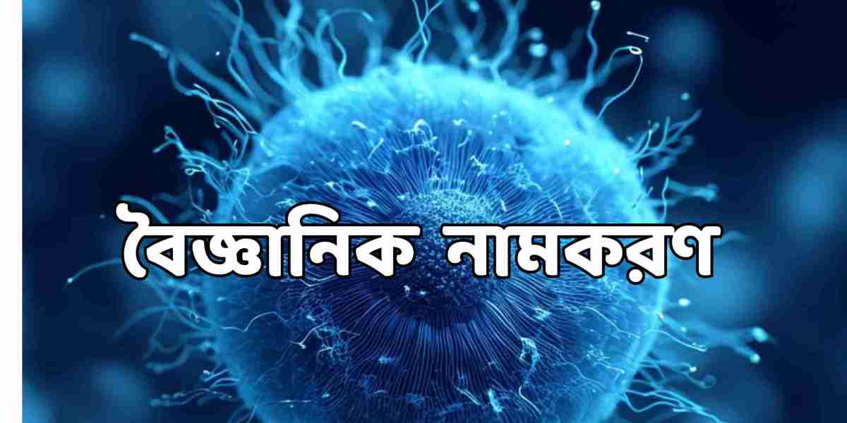 জীববৈচিত্র্যের নামকরণ