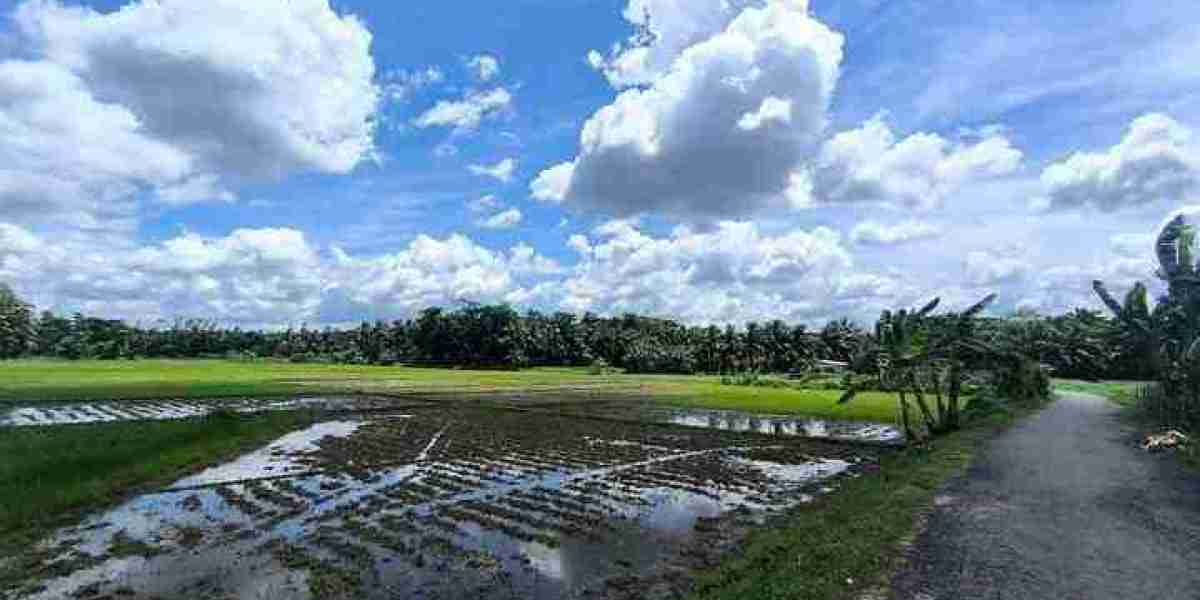 গ্রামের প্রকৃত সৌন্দর্য কিছু দৃশ্য