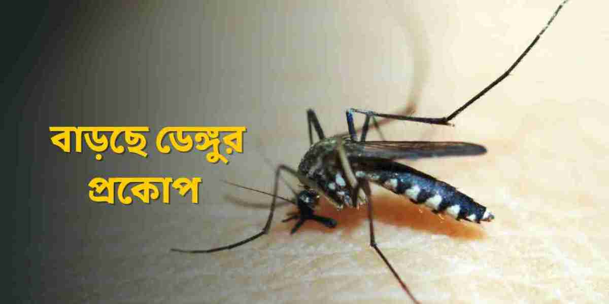 দেশব্যাপী বাড়ছে ডেঙ্গুর প্রকোপ