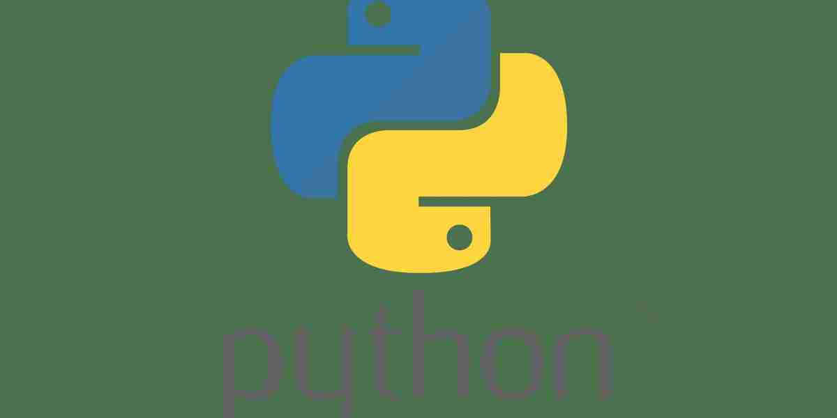 What is Python programming?