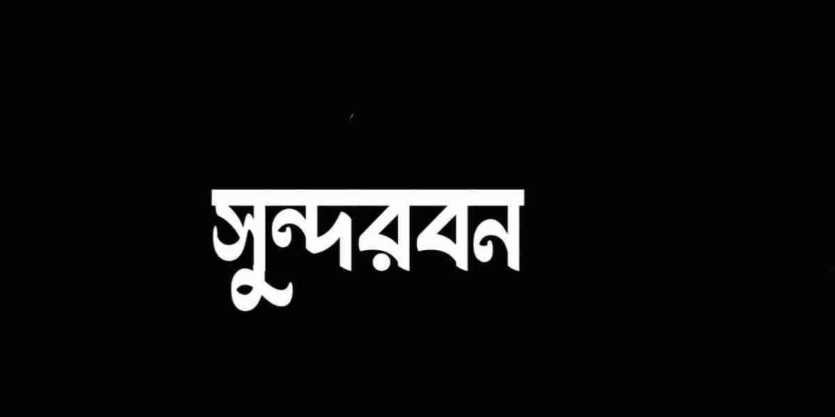 সুন্দরবন