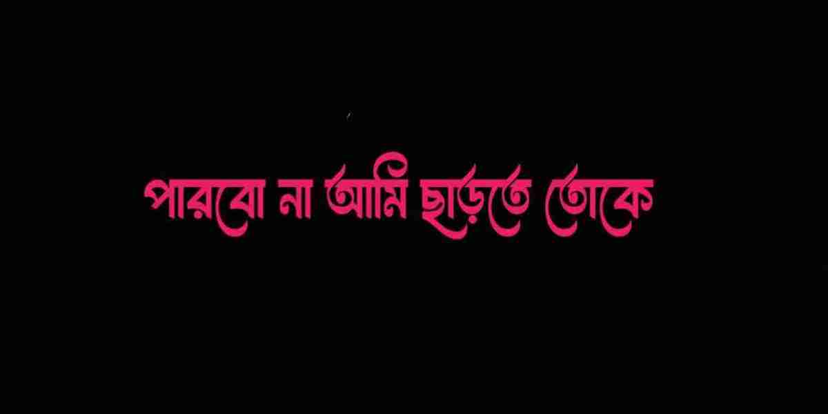 পারবো না আমি ছাড়তে তোকে