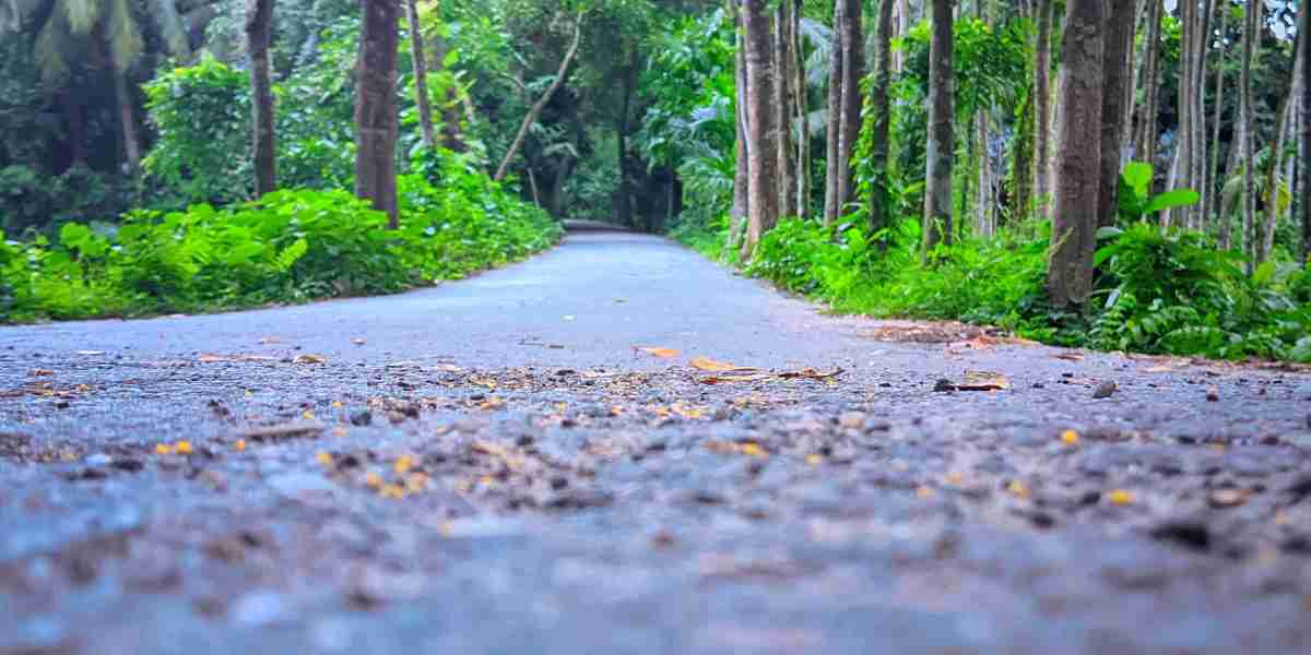 গ্রামীণ পরিবেশ ?