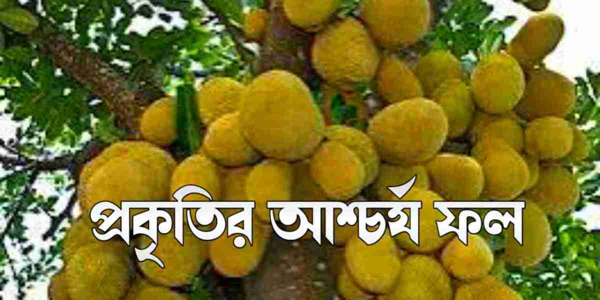 কাঁঠাল: প্রকৃতির এক আশ্চর্য ফল