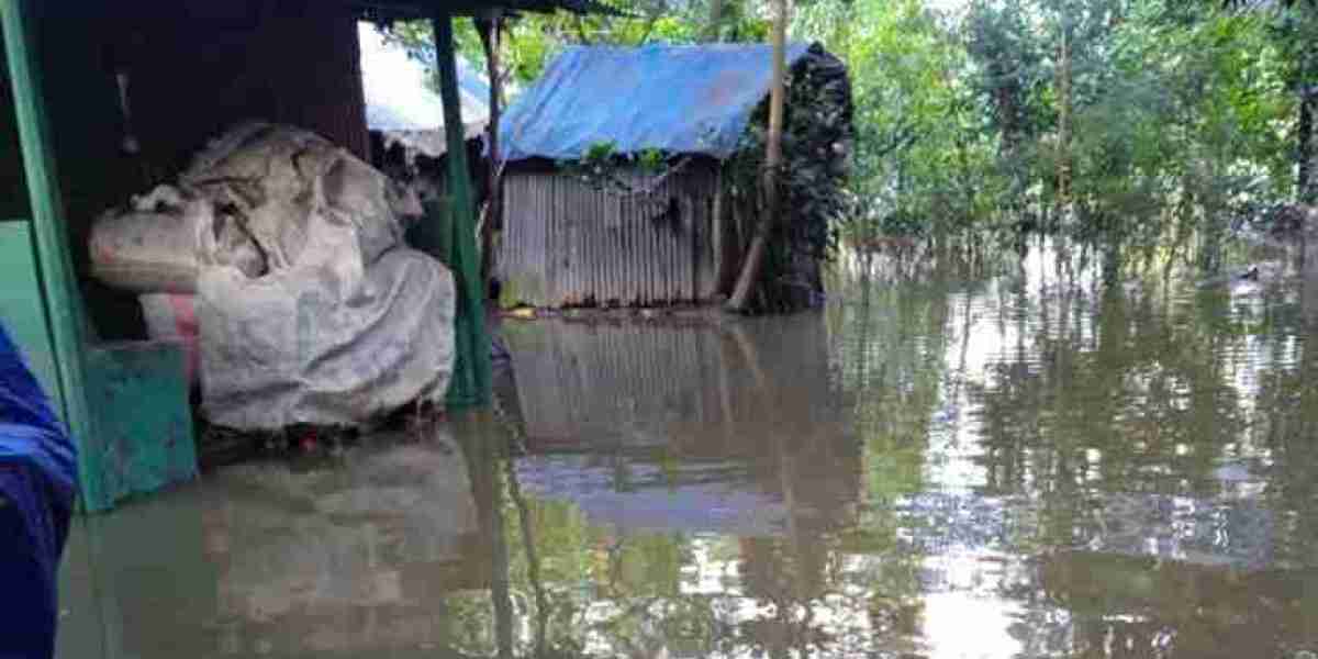 নোয়াখালী তে বন্যা