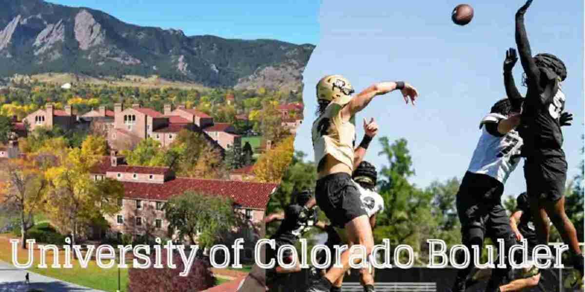 University of Colorado Boulder: A Journey Through Academia and Beyond