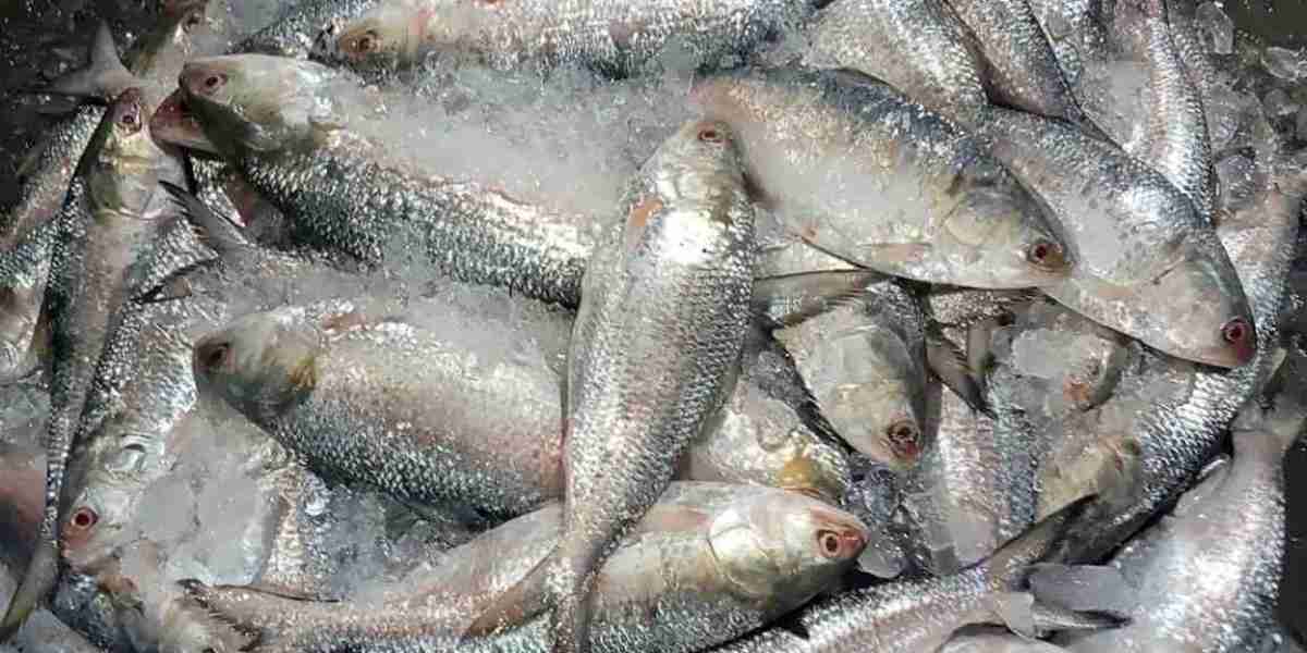 The government has taken a new decision on the export of hilsa to India