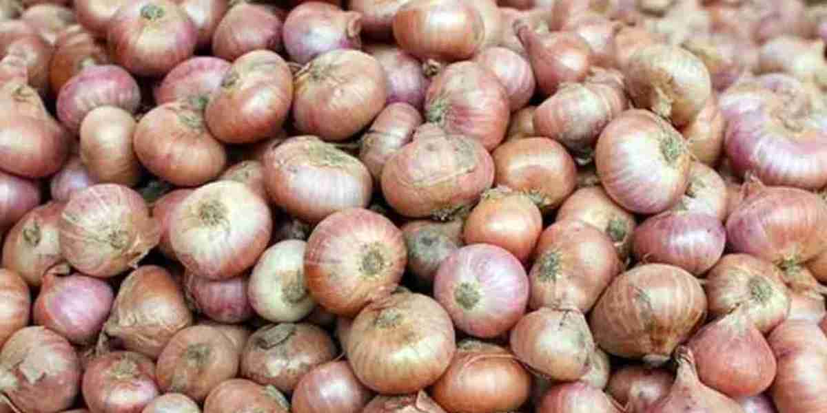 In the market, the price of Indian onion, per kg has decreased by 10 to 15 taka