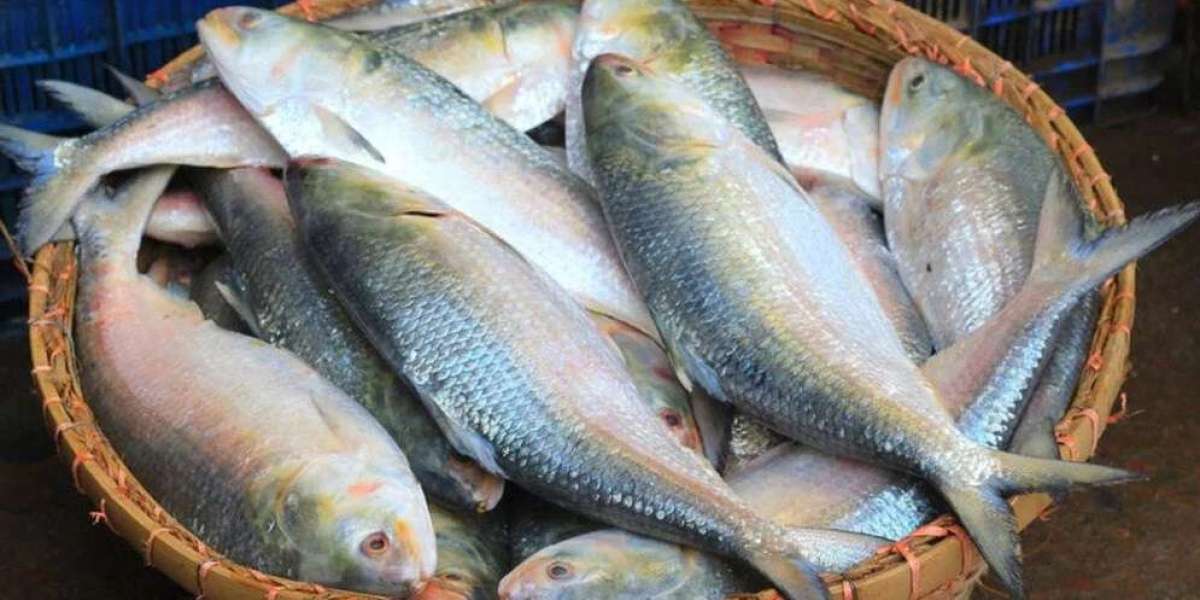 Bangladeshi hilsa is available in Kolkata market