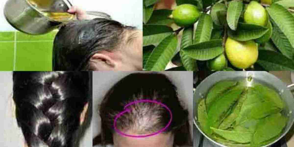 Want to grow your hair longer? Use guava leaves like this