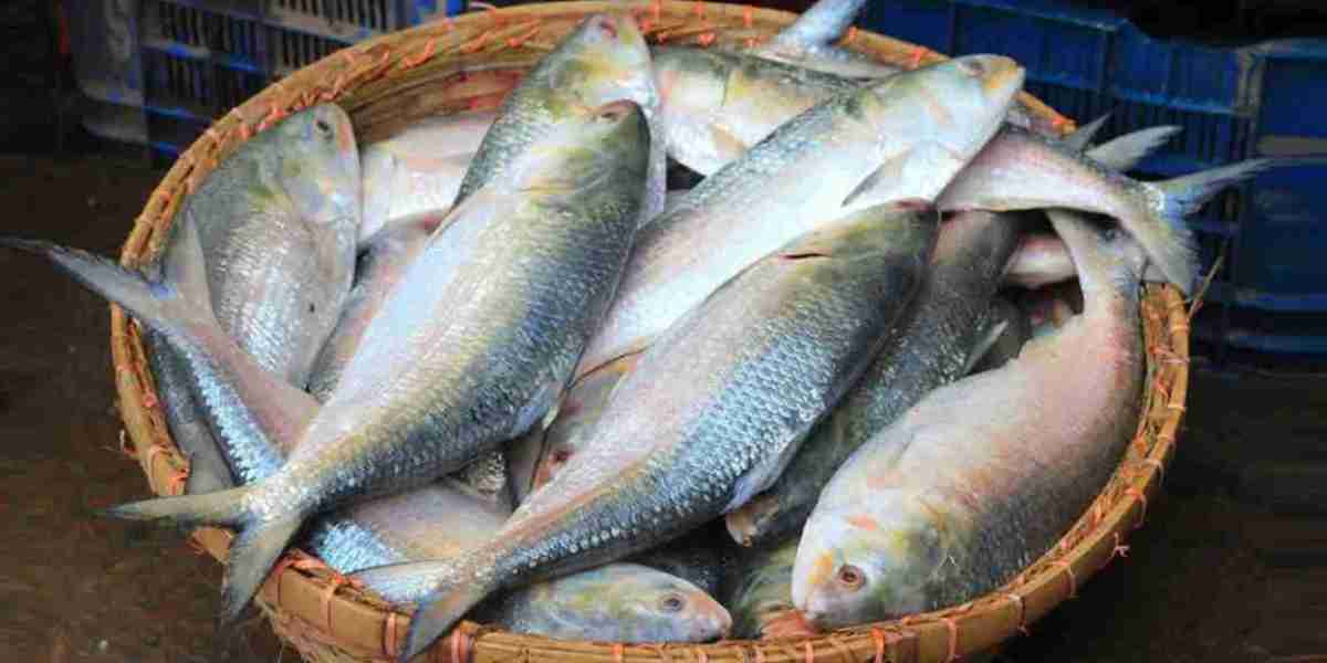 Legal notice to stop export of hilsa to India