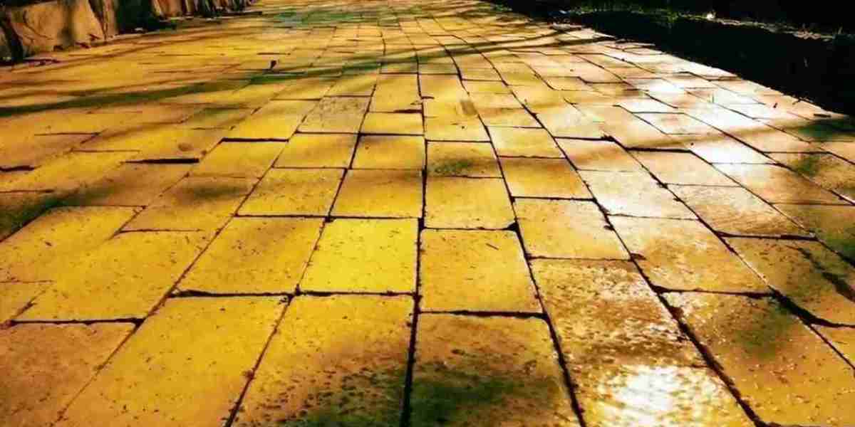 The discovery of a mysterious yellow brick road beneath the sea surface, researchers are concerned