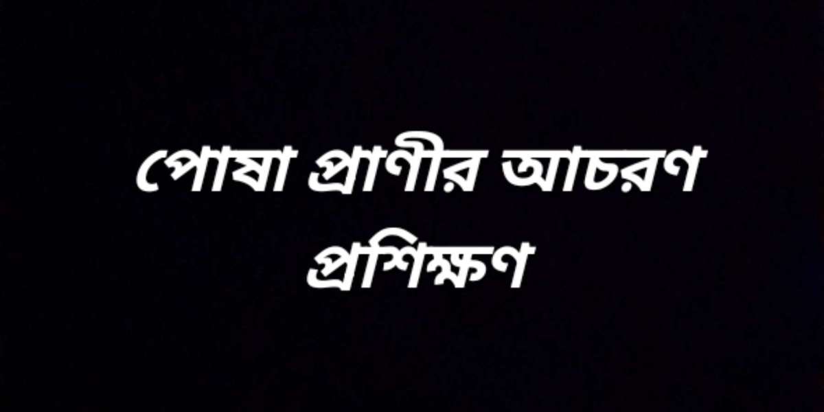 পোষা প্রাণীর আচরণ প্রশিক্ষণ