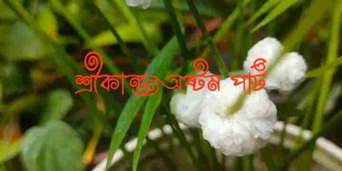 শ্রীকান্ত অষ্টম পার্ট