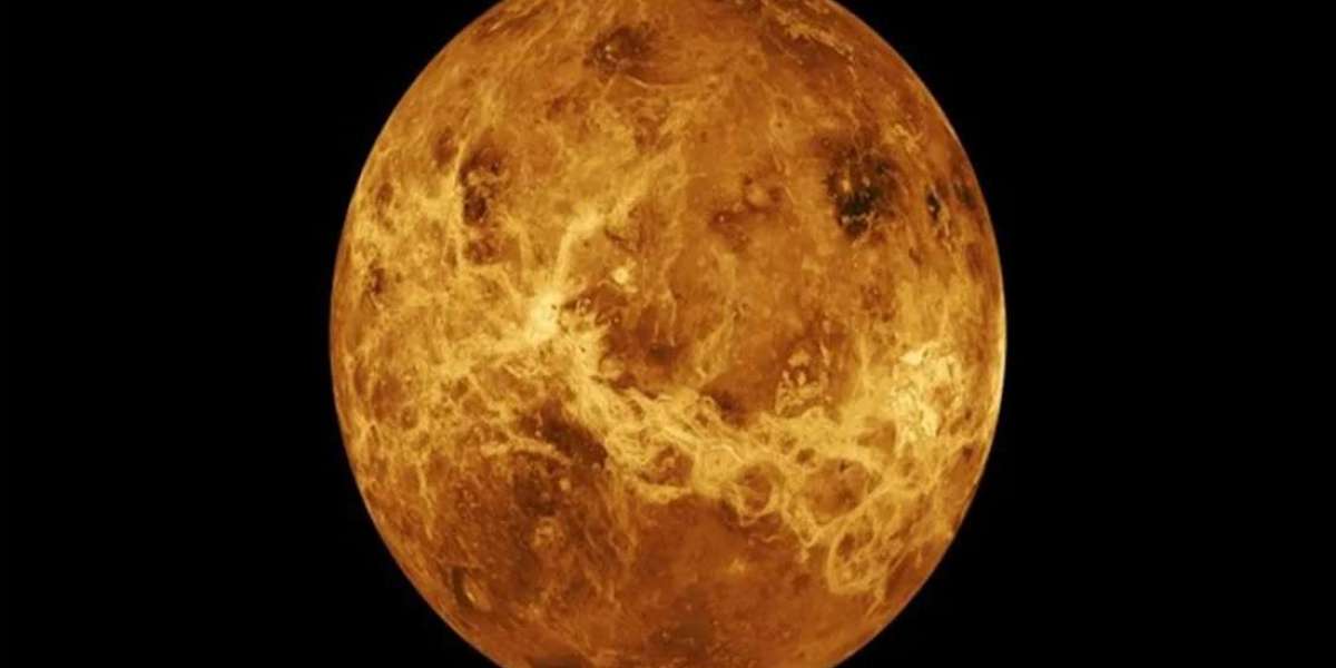 The environment we will see on Venus