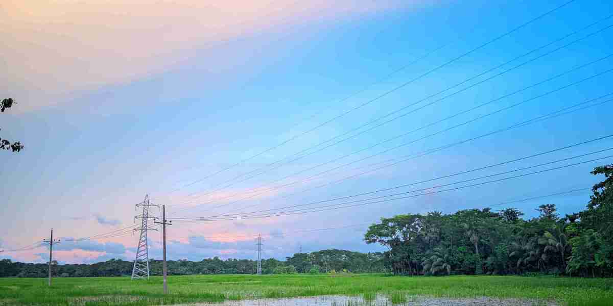 প্রকৃতিকে ভালোবাসি