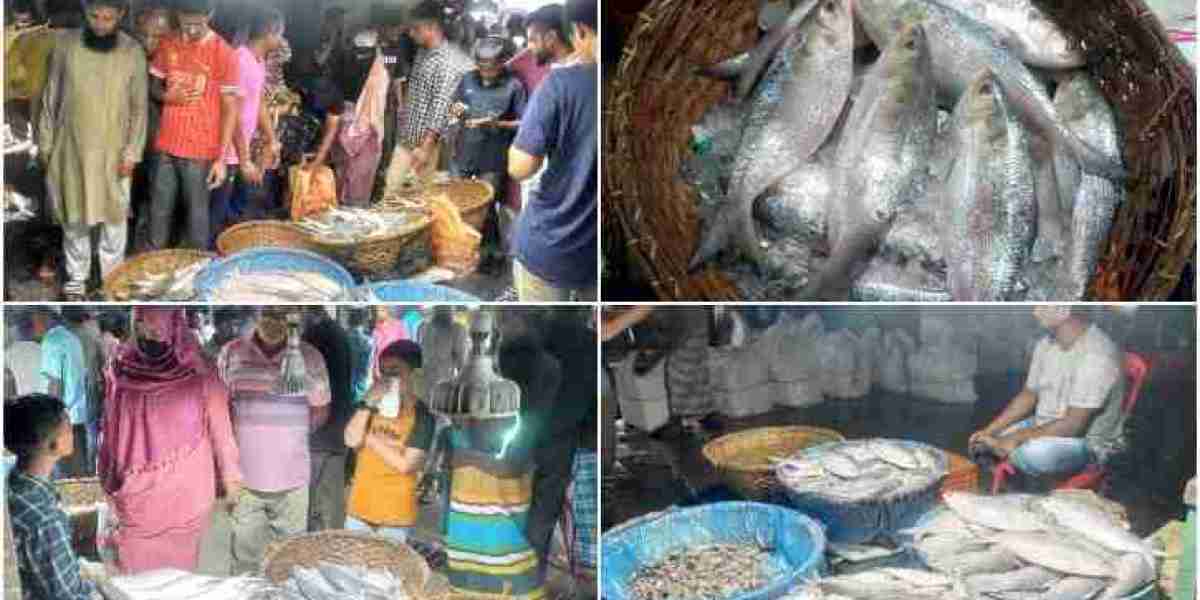 'Hilsha price higher at Chandpur Ghat than Dhaka'