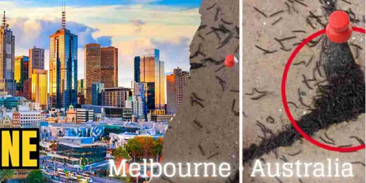 Melbourne • Australia: The Ultimate Guide to Australia’s Cultural Capital