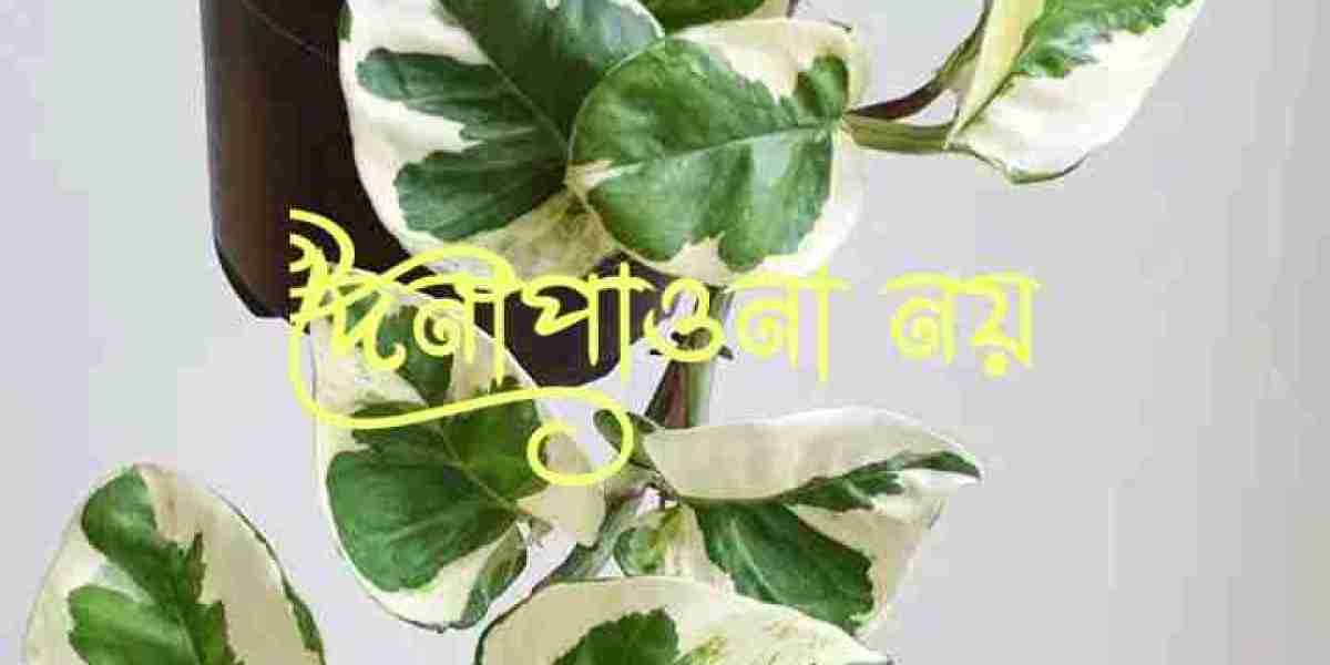 দেনা-পাওনা নয়