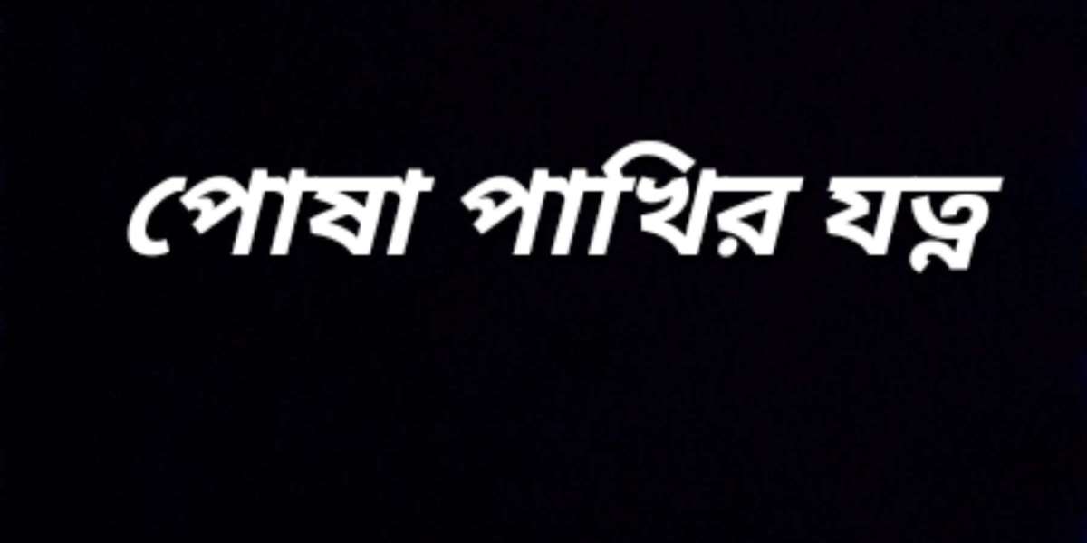 পোষা পাখির যত্ন