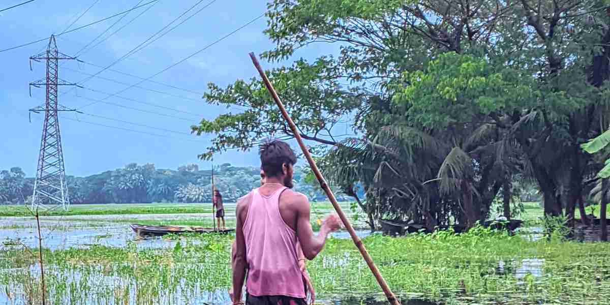 নৌকার মাঝিরা