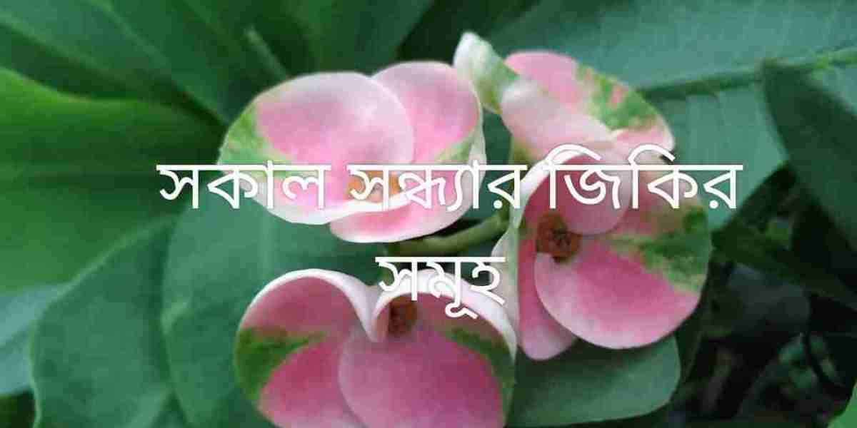 সকাল সন্ধ্যার জিকির