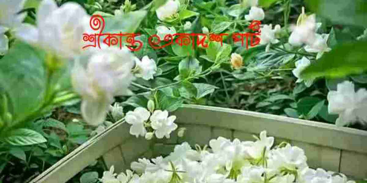 শ্রীকান্ত একাদশ পার্ট