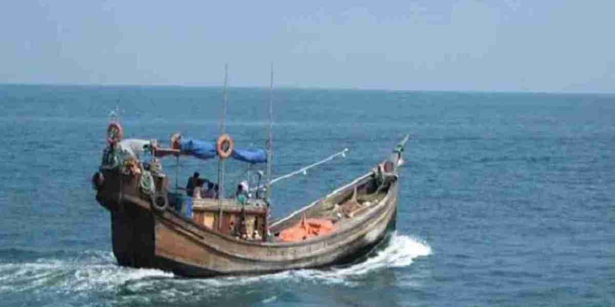 Thousands of fishing trawlers in the deep sea in search of hilsa