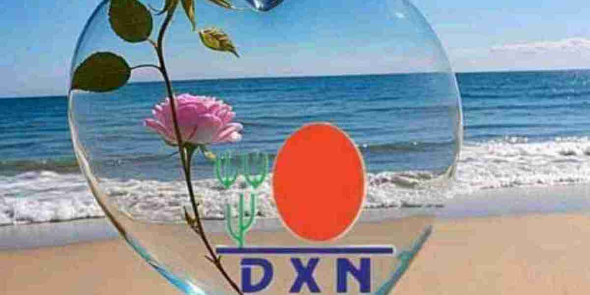 ডিএক্সএন (DXN)