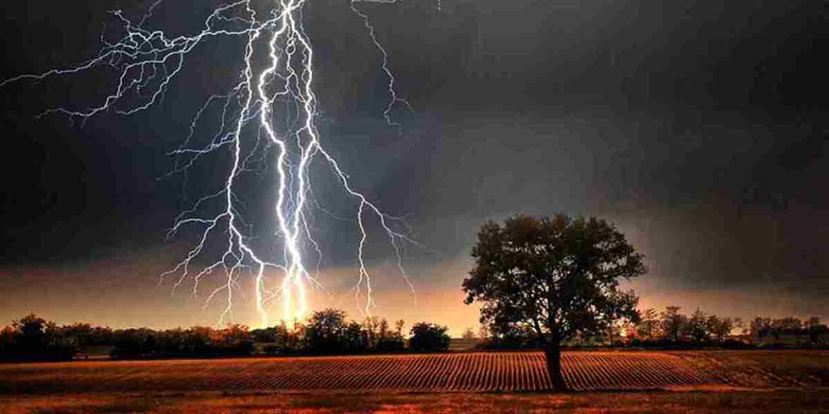 4 people died in one day due to lightning in Sylhet