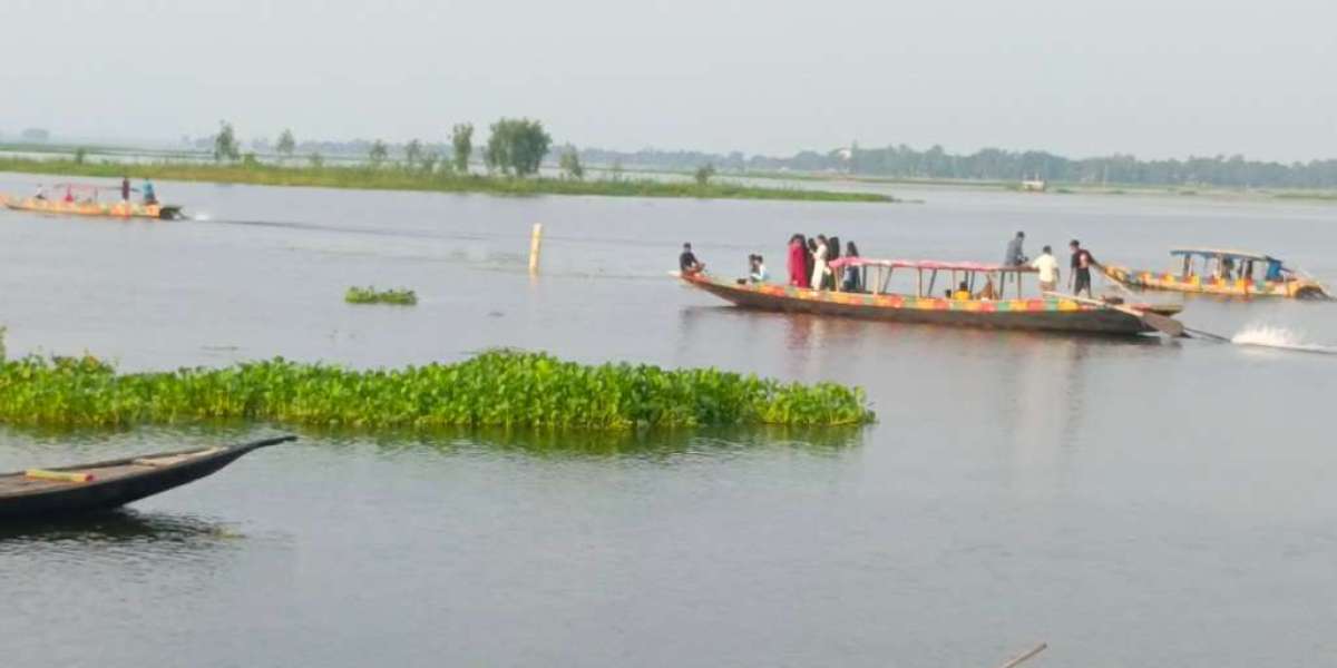 Thousands of tourists are flocking every day to see the beauty of Naogaon Hansaigari Bill