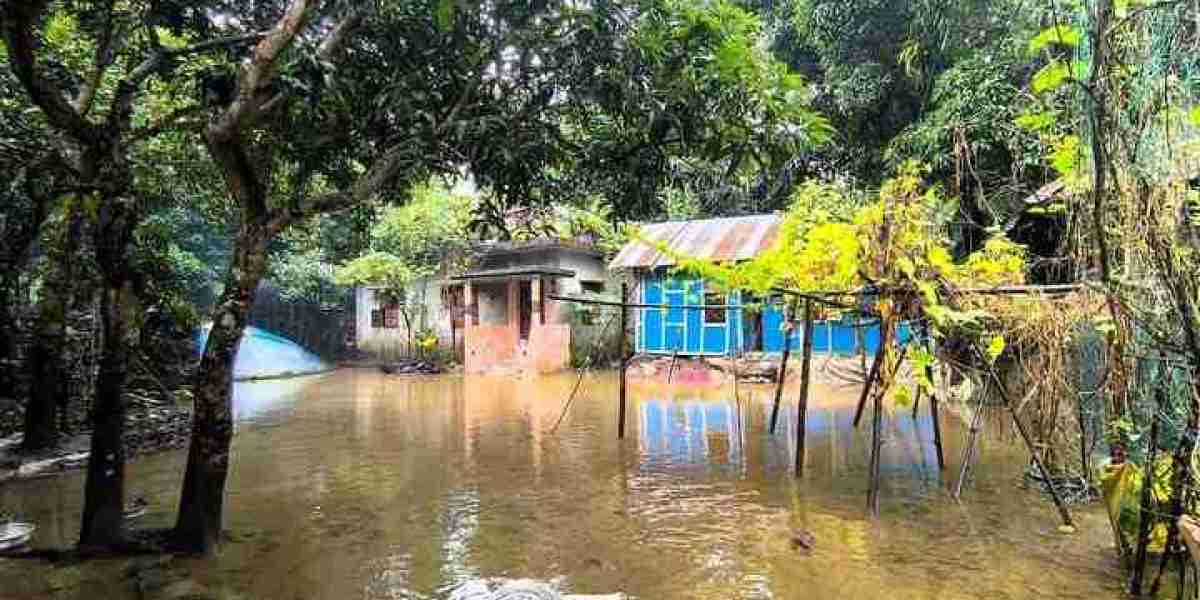 বন্যায় ক্ষতিগ্রস্ত এলাকা