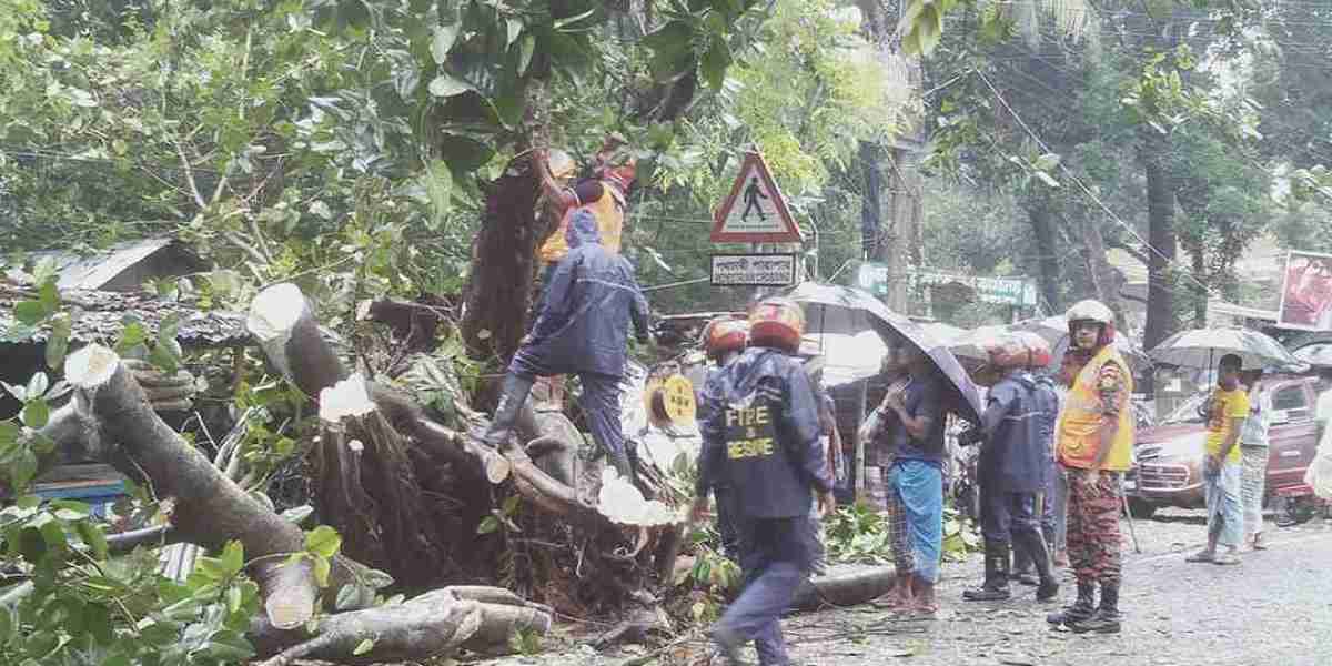 Centuries old banyan trees were uprooted by heavy rains