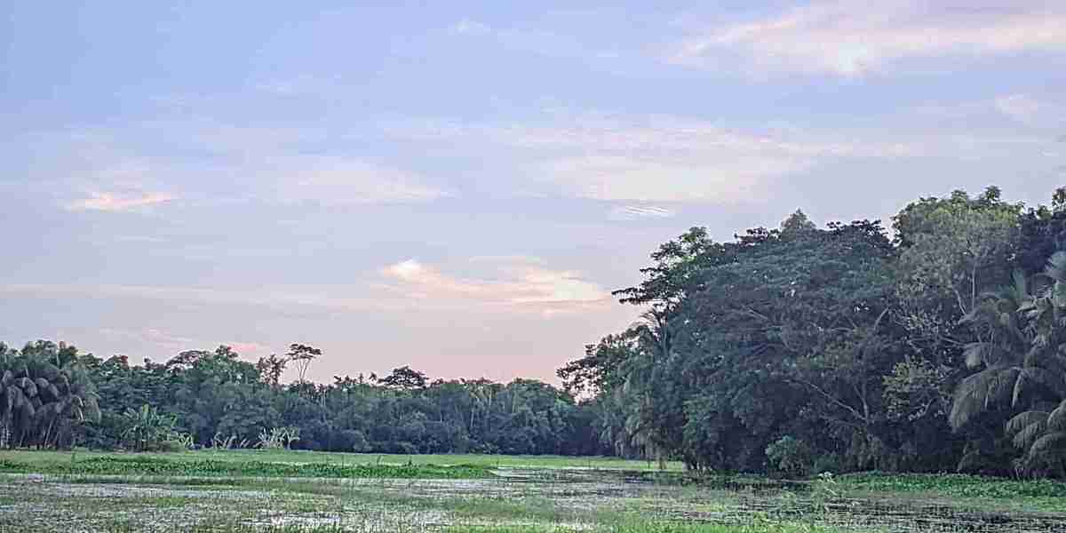 সন্ধ্যার আকাশে বিকেলের ছায়া