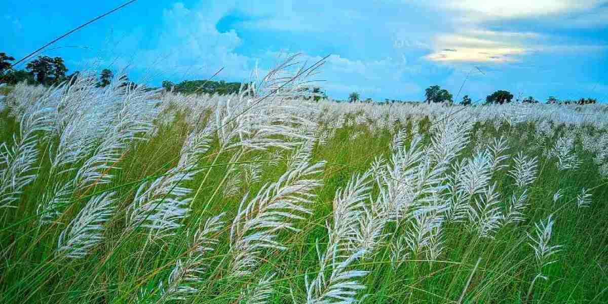 ইসলাম ধর্ম নিয়ে কিছু কথা