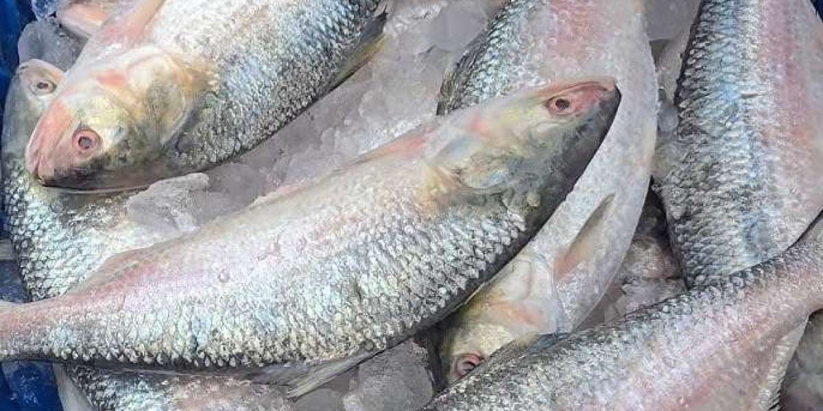 Hilsa fish is delicious but harmful for those