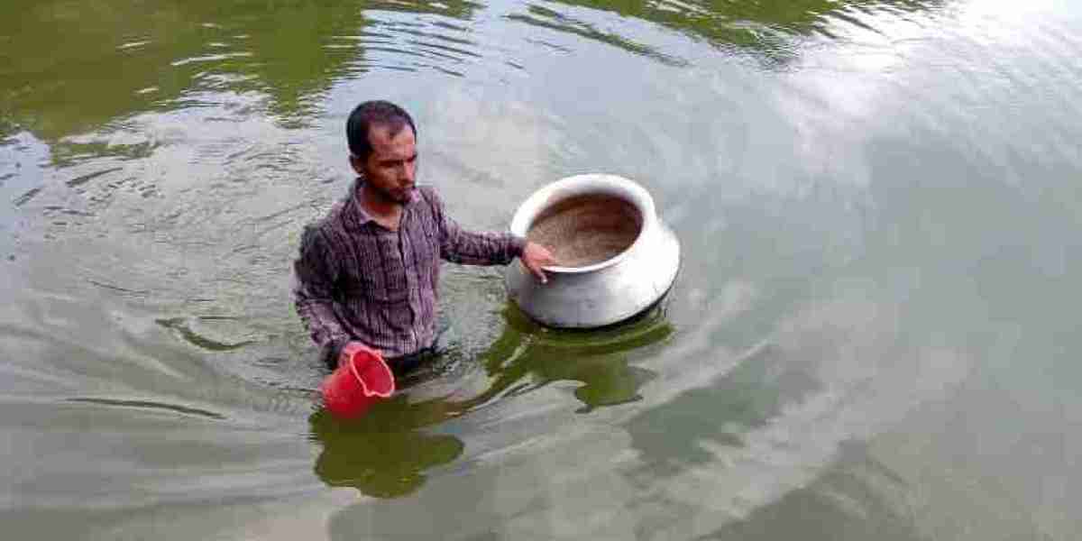 Shamsul Alam of Gobindganj is a 'successful farmer' even as a teacher