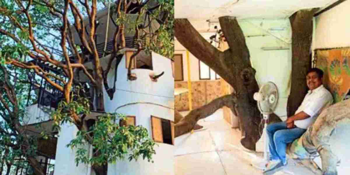 It is forbidden to cut trees, so the person made a 4-story house out of the tree