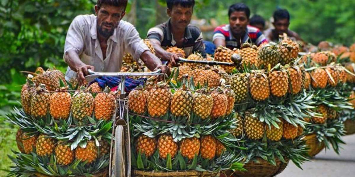 Pineapple of Madhupur got recognition as a GI product