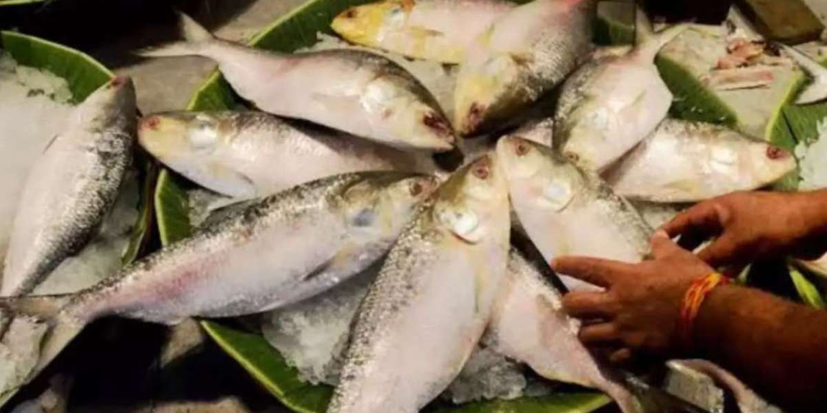 The people of West Bengal are happy to get hilsa from Bangladesh before Durga Puja