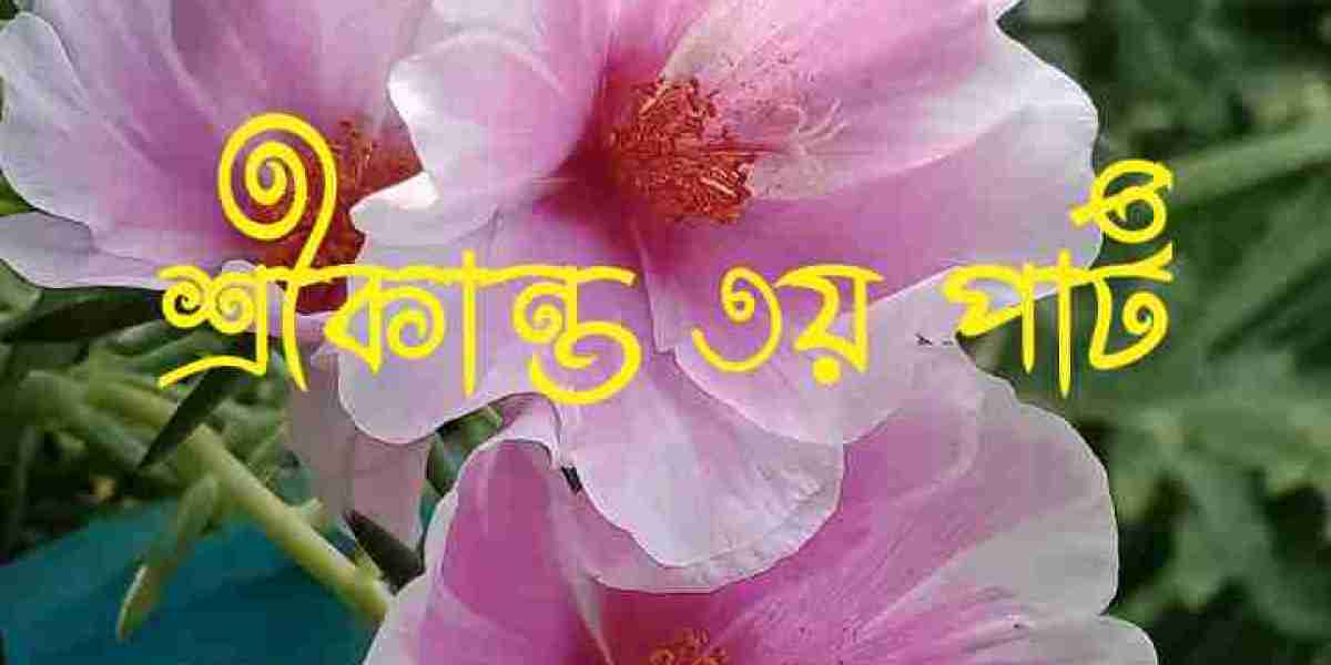 শ্রীকান্ত ৩য় পার্ট