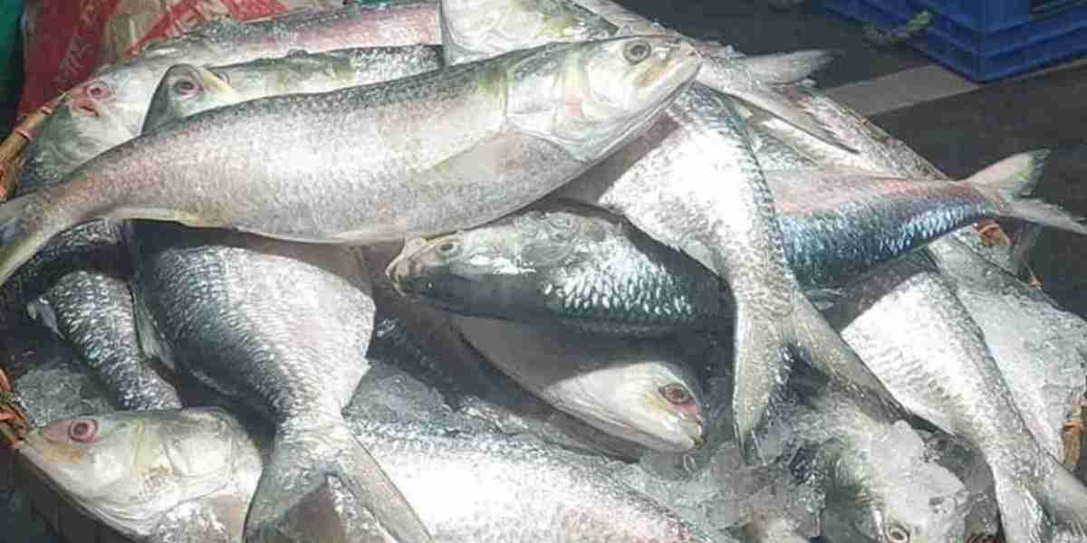 Export is stopped, yet why Hilsa is beyond the reach of most buyers