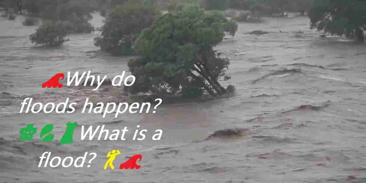 ?Why do floods happen? ???What is a flood? ??