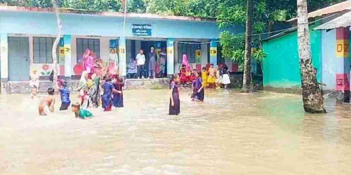 School is not a field, this is like a pond!