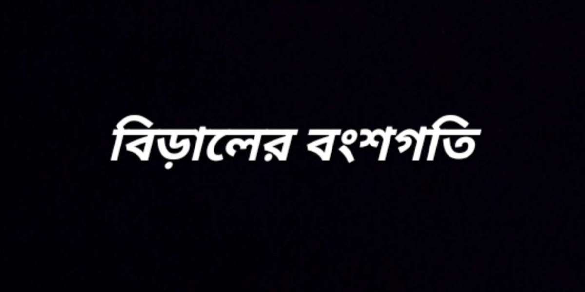 বিড়ালের বংশগতি বা জেনেটিক্স